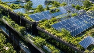 Techo biosolar