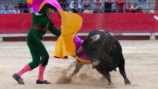 Expresiones taurinas en España, frases de toros que usamos, estar para el arrastre y los toros, origen expresión estar para el arrastre.