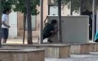 Turismofóbicos Palma Pintadas