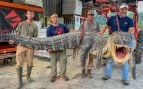 Mississippi Department of Wildlife, Fisheries, and Parks
