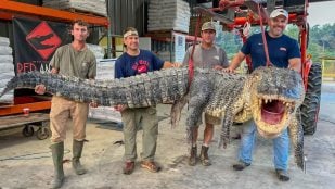 Mississippi Department of Wildlife, Fisheries, and Parks