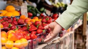 frutas etiquetas