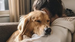 Dueños de perros