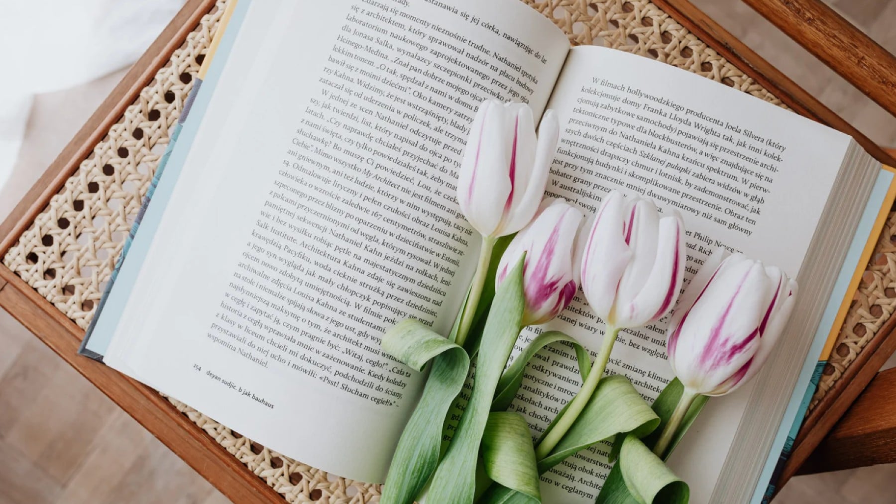 Recomendación literaria_ una de las grandes novelas del año (Foto_ Canva).