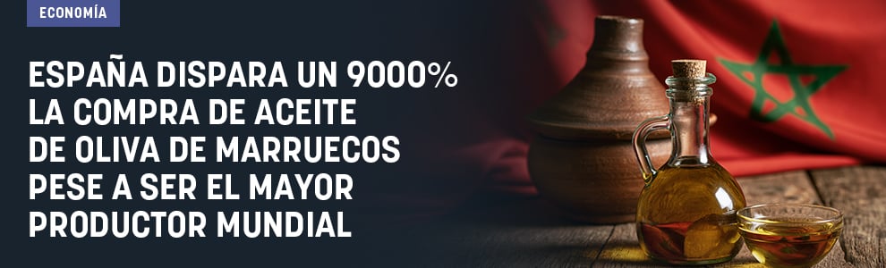 España dispara un 9000% la compra de aceite de oliva a Marruecos pese a ser el mayor productor mundial