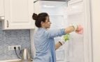 Frigorífico, juntas, consumo, luz, economía