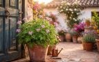 la mejor planta repelente natural para ahuyentar los mosquitos