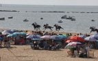 Carreras de Caballos en Sanlúcar de Barrameda.