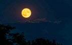 Luna llena
