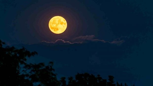 Luna llena