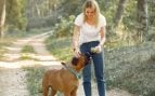 Perros, animales, mascotas