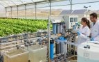 Murcia, sistema, cultivo, agua, naturaleza, ciencia