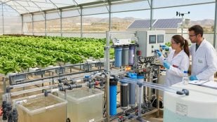 Murcia, sistema, cultivo, agua, naturaleza, ciencia