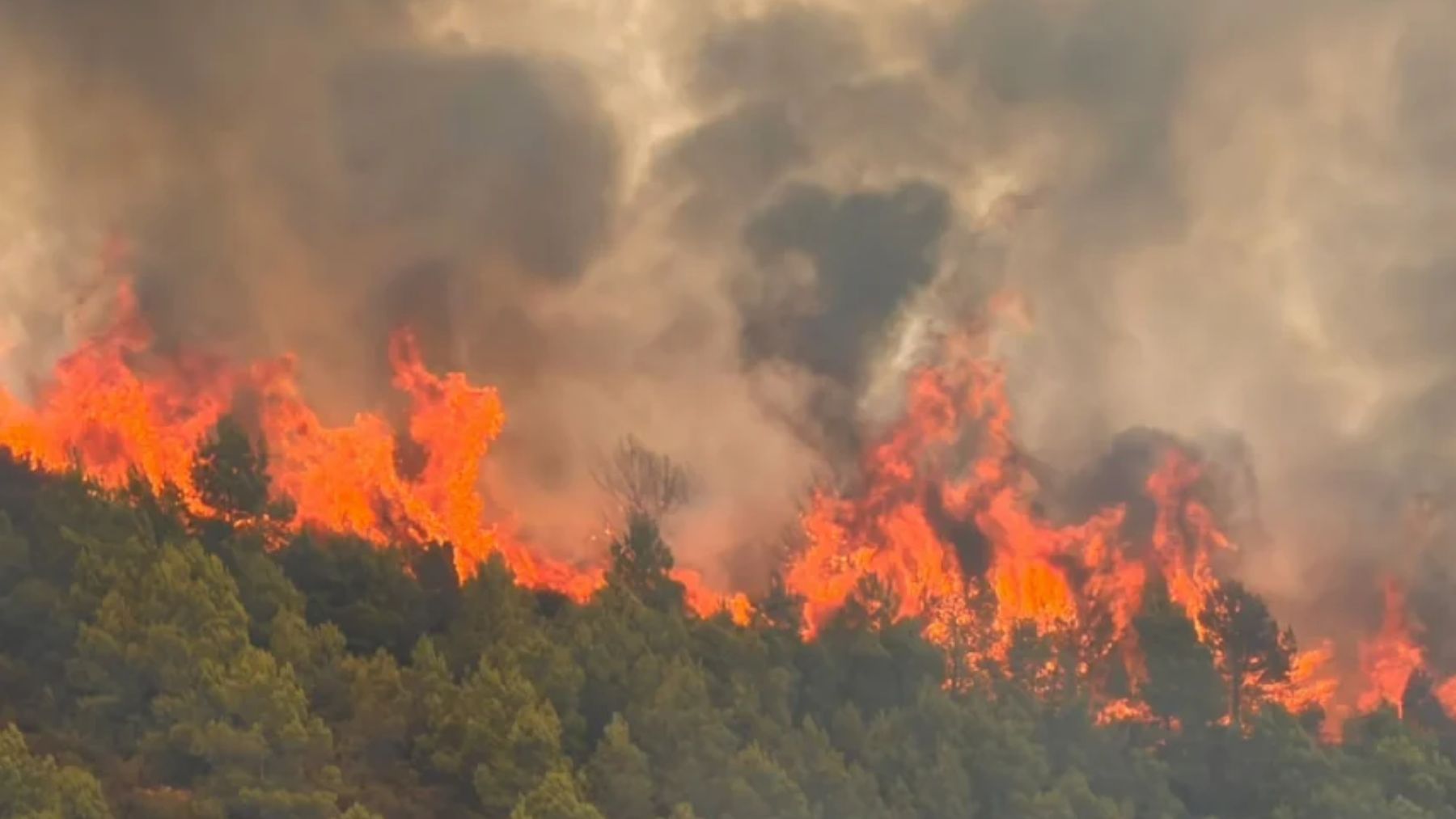 Evacúan a más de 500 personas de Gátova (Valencia) ante el avance del incendio de Segorbe