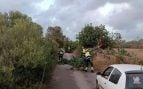 El temporal de lluvia y viento deja 109 incidencias en Baleares, con Menorca y Mallorca entre las zonas más afectadas