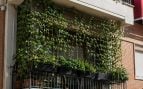 Trucos para refrescar la casa en verano, truco contra el calor en casa, plantas en el balcón contra el calor, cómo proteger del calor la casa, truco para tener menos calor en casa.