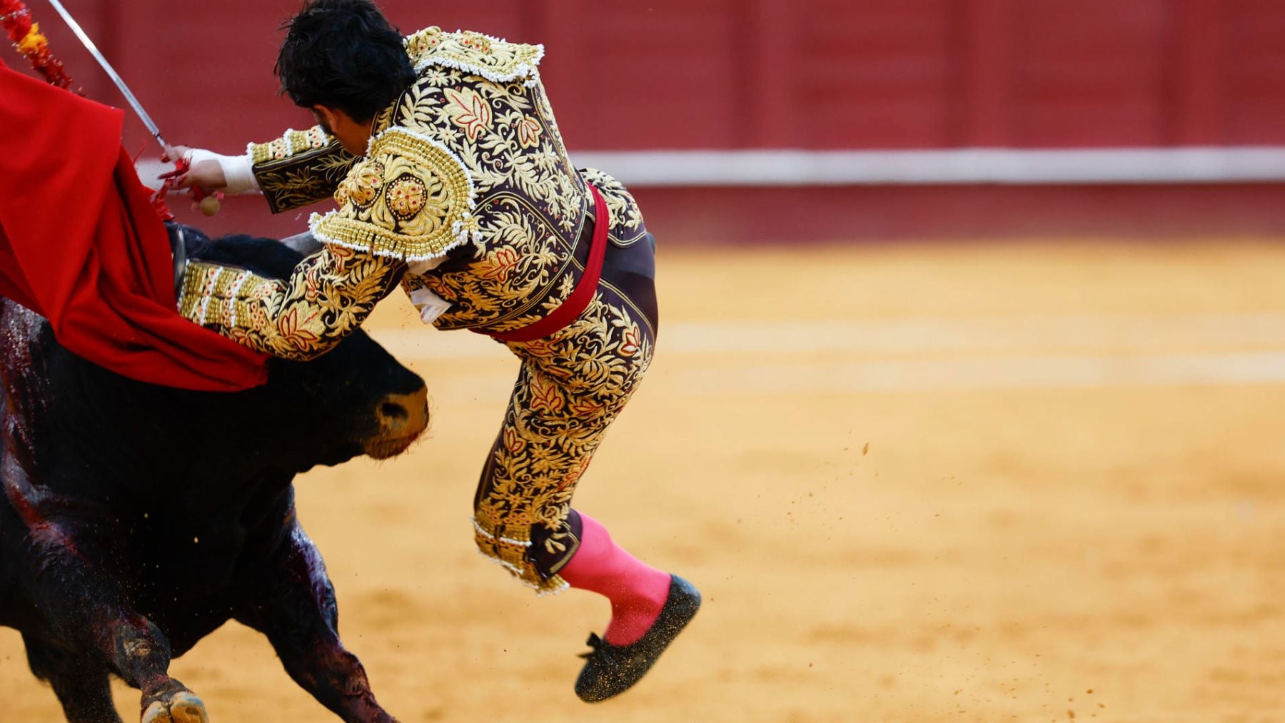 Morante de la Puebla se repone tras una fea cogida y corta una oreja en Málaga