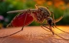 Olor que no soportan los mosquitos