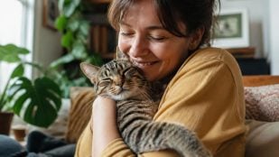 Persona favorita de los gatos