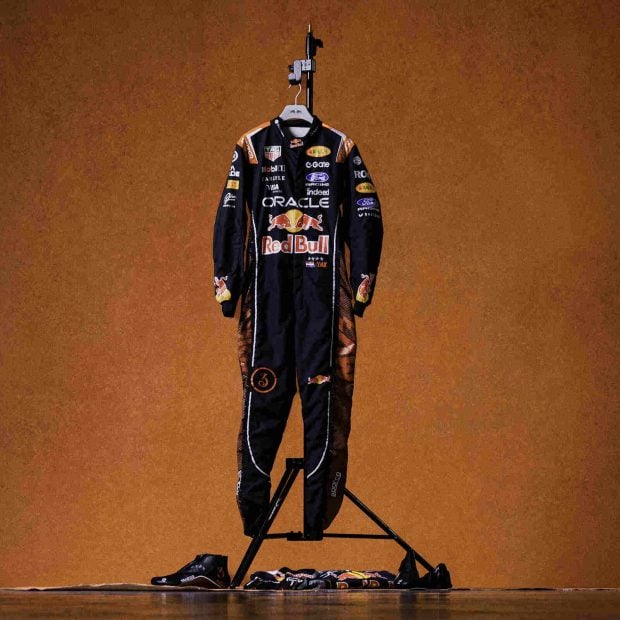 Mono de Max Verstappen