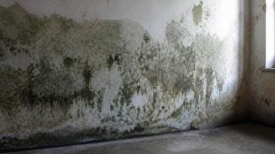 Pared afectada por la humedad