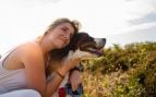 Perros, animales, mascotas