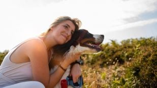 Perros, animales, mascotas