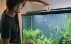 Alimentar a los peces