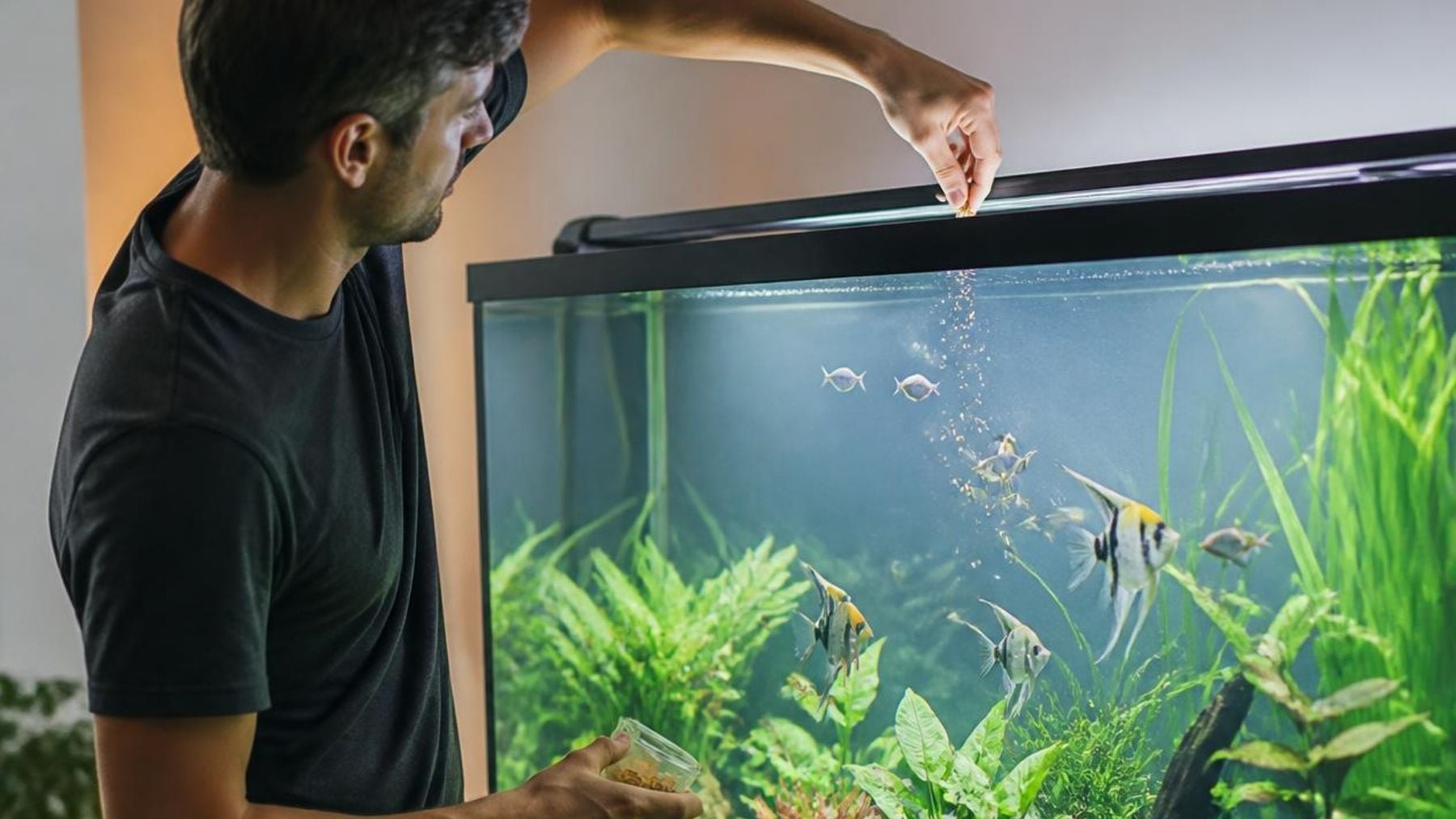 Veterinarios coinciden: la mejor forma de alimentar a los peces durante las vacaciones de verano sin tener que encargárselo a alguien