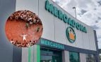 Qué supermercados abren mañana: horario especial por la Tomatina en Valencia