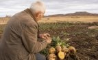 Nabo de Mainar, recuperar variedad de hortaliza en Aragón, agricultor de 86 años guarda semillas durante décadas.