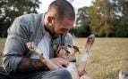 Perros, animales, mascotas