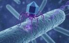 Microbiota