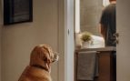 El perro espera fuera del baño