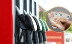 precio gasolina 29 Madrid