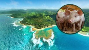 vivir gratis Hawai