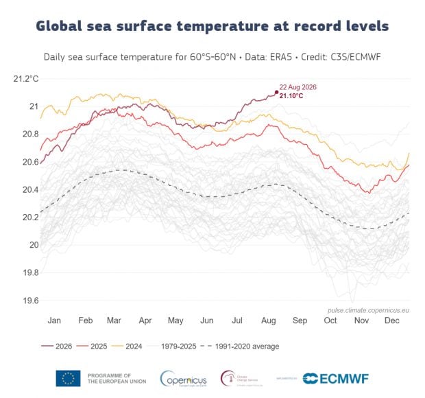 Temperatura global de los mares