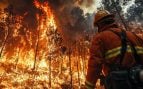 bombero incendio
