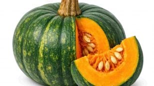 Tipos de calabaza