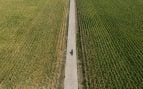 Campo agrícola en Alemania. (Foto: EFE).