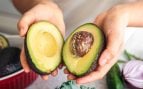 aguacate hueso