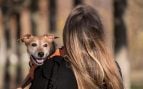 Expertos en adiestramiento canino coinciden: 