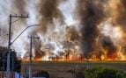 El vaticinio da miedo: científicos dicen que Europa podría triplicar la superficie quemada por incendios debido al cambio climático