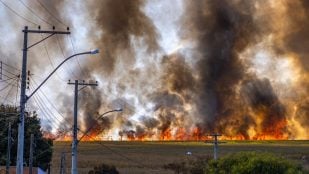 El vaticinio da miedo: científicos dicen que Europa podría triplicar la superficie quemada por incendios debido al cambio climático