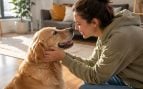 Perro, animal, mascota