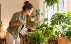 Mujer, plantas, interior, psicología