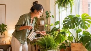Mujer, plantas, interior, psicología