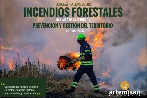 Portada informe Artemisan incendios