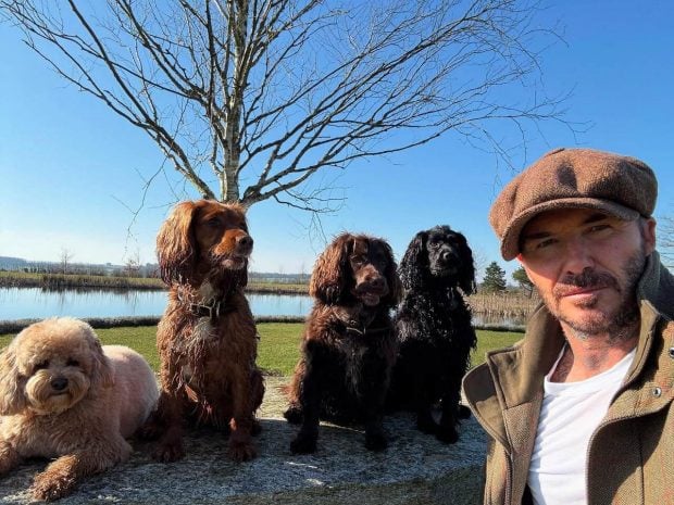 casa david victoria beckham legal costwolds