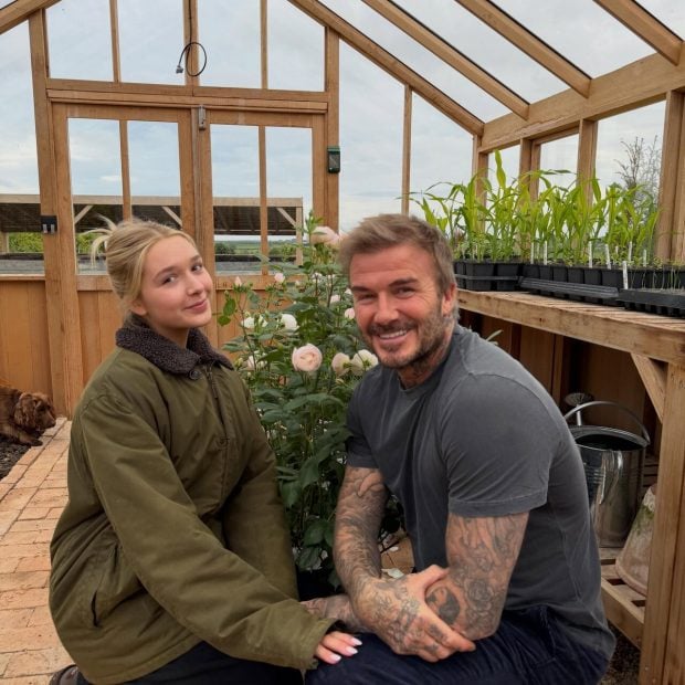 casa david victoria beckham legal costwolds